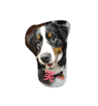 I love my dogs（個別スタンプ：2）
