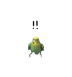 ずんぴこ。（可愛いセキセイインコ）その2（個別スタンプ：5）