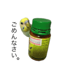 ずんぴこ。（可愛いセキセイインコ）その2（個別スタンプ：28）