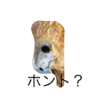 精霊ミンミン語録（個別スタンプ：2）
