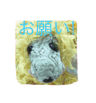 精霊ミンミン語録（個別スタンプ：8）