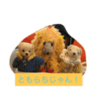 精霊ミンミン語録（個別スタンプ：9）
