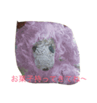 精霊ミンミン語録（個別スタンプ：15）
