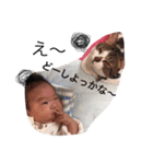 BABY＆CAT.k.m.（個別スタンプ：13）