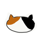 ^._.^   2次元のねこ（個別スタンプ：14）