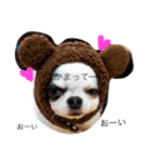 丸尾さんちの生活（個別スタンプ：8）