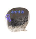 ハリネズミのウニ（個別スタンプ：1）