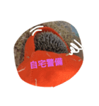 ハリネズミのウニ（個別スタンプ：6）