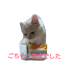 わが家のマフィン（個別スタンプ：1）