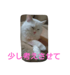 わが家のマフィン（個別スタンプ：2）
