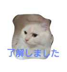 わが家のマフィン（個別スタンプ：3）