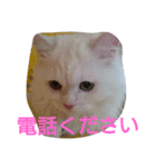 わが家のマフィン（個別スタンプ：14）