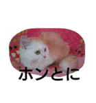 わが家のマフィン（個別スタンプ：16）
