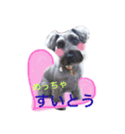 黒シュナおときち vol.3 (博多弁)（個別スタンプ：9）