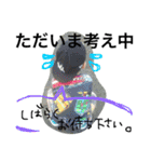 りんりん。（個別スタンプ：15）