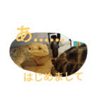 怒涛のトカゲラッシュ（個別スタンプ：5）