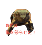 怒涛のトカゲラッシュ（個別スタンプ：7）