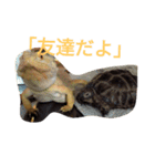 怒涛のトカゲラッシュ（個別スタンプ：8）