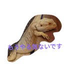 怒涛のトカゲラッシュ（個別スタンプ：12）