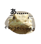 怒涛のトカゲラッシュ（個別スタンプ：16）
