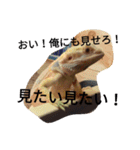 怒涛のトカゲラッシュ（個別スタンプ：17）