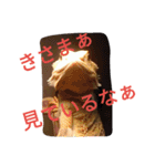 怒涛のトカゲラッシュ（個別スタンプ：21）