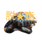 怒涛のトカゲラッシュ（個別スタンプ：23）