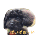 はらへりきち（個別スタンプ：1）