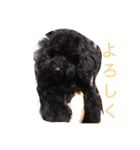 はらへりきち（個別スタンプ：7）