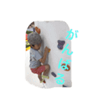 はらへりきち（個別スタンプ：11）