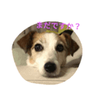 ベルちゃんと一緒（個別スタンプ：1）