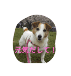 ベルちゃんと一緒（個別スタンプ：2）