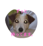 ベルちゃんと一緒（個別スタンプ：3）
