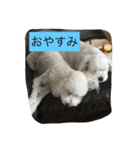 楽しいワンさん達（個別スタンプ：22）
