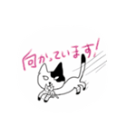 白目ニャンコ〜（個別スタンプ：8）