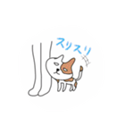 白目ニャンコ〜（個別スタンプ：28）
