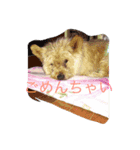 ぽっちゃん02（個別スタンプ：6）