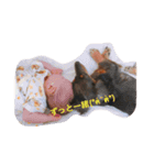 うちのmoca（個別スタンプ：7）