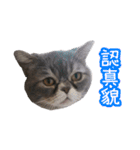 GUI-ZAI's daily languages（個別スタンプ：2）