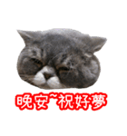 GUI-ZAI's daily languages（個別スタンプ：4）