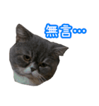 GUI-ZAI's daily languages（個別スタンプ：10）