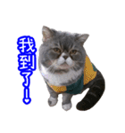 GUI-ZAI's daily languages（個別スタンプ：22）