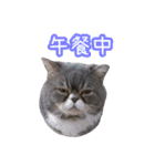 GUI-ZAI's daily languages（個別スタンプ：33）