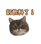 GUI-ZAI's daily languages（個別スタンプ：40）
