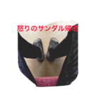そうなる光野（個別スタンプ：12）