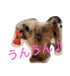 フロドNo.1（個別スタンプ：3）