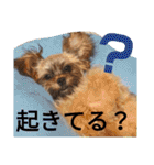 フロドNo.1（個別スタンプ：10）