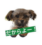 フロドNo.1（個別スタンプ：15）
