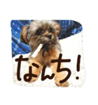フロドNo.1（個別スタンプ：16）