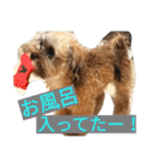 フロドNo.1（個別スタンプ：25）